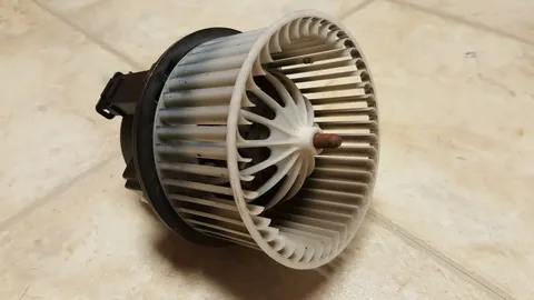 Rodeo fan blower motor