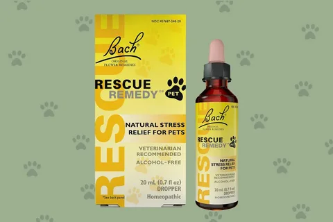 Exploring the Efficacy of Rescue Remedy Anxiety for Anxiety