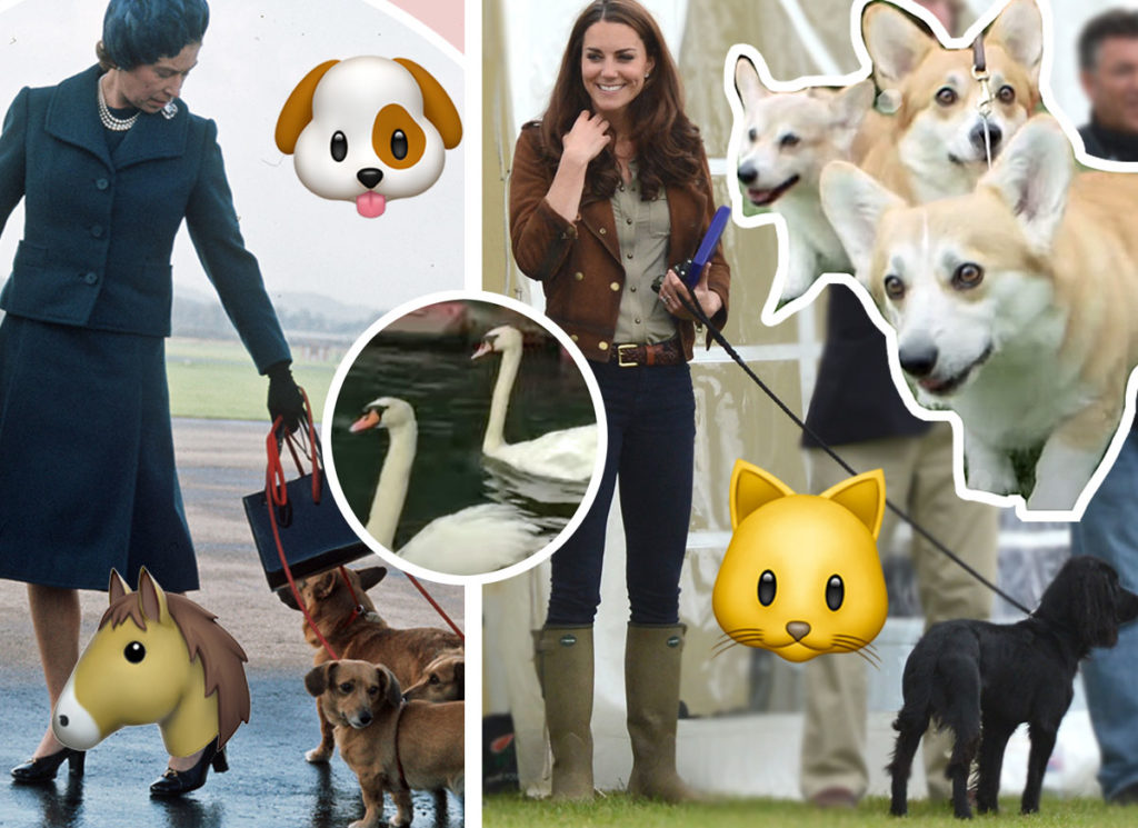 “Inside the Lavish Lives of Celebrity Dogs”