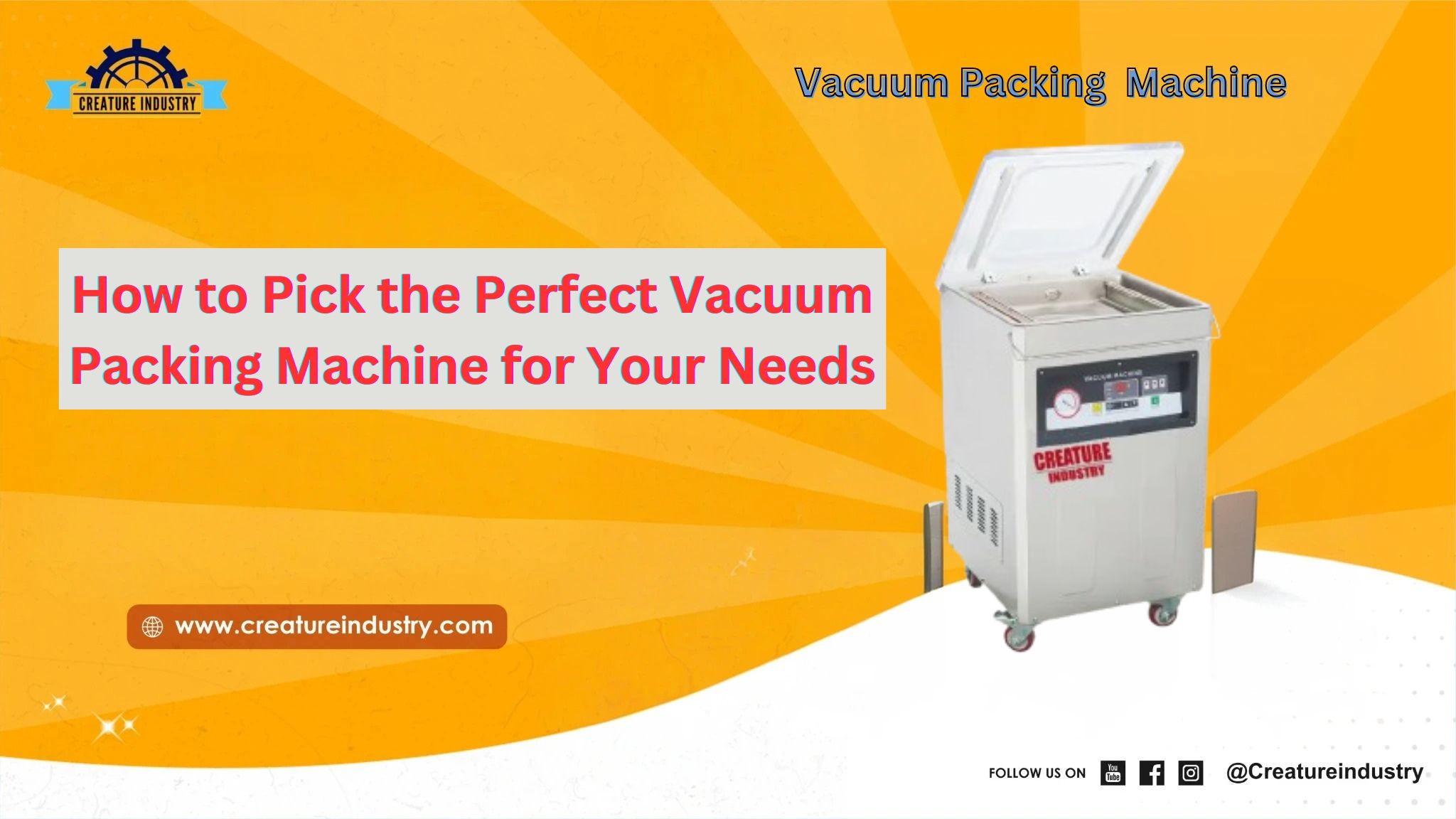 Best Vacuum Packing Machine for Fresh & Long-Lasting Food