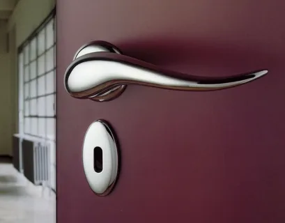 FG interior door handle