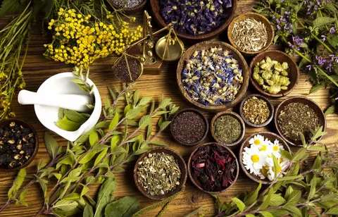 Herbal Medicine Melbourne