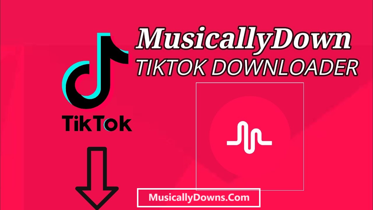 MusicallyDown – Download Video Tiktok Without Watermark