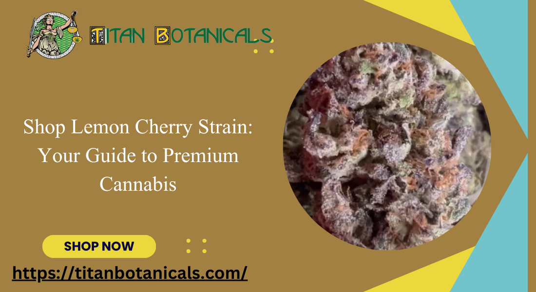 Shop Lemon Cherry Strain: Your Guide to Premium Cannabis