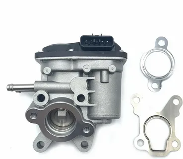 D40 Egr Valve