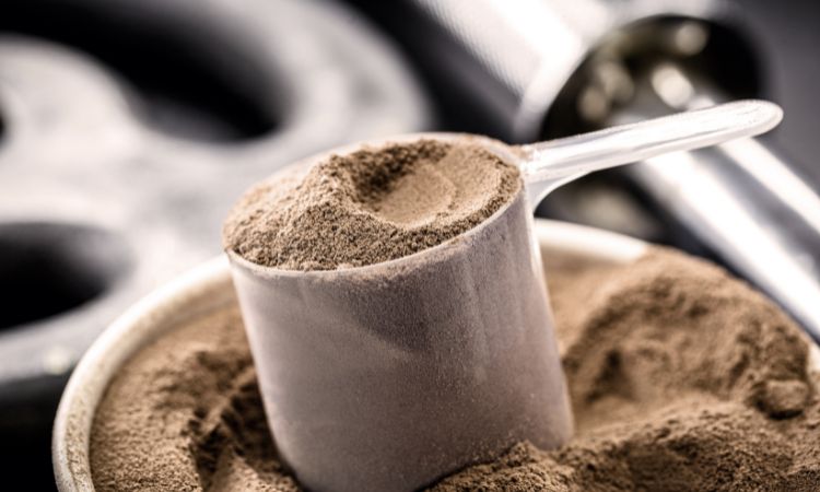 Casein Market Size, Share, Trends & Growth (2025-2034)