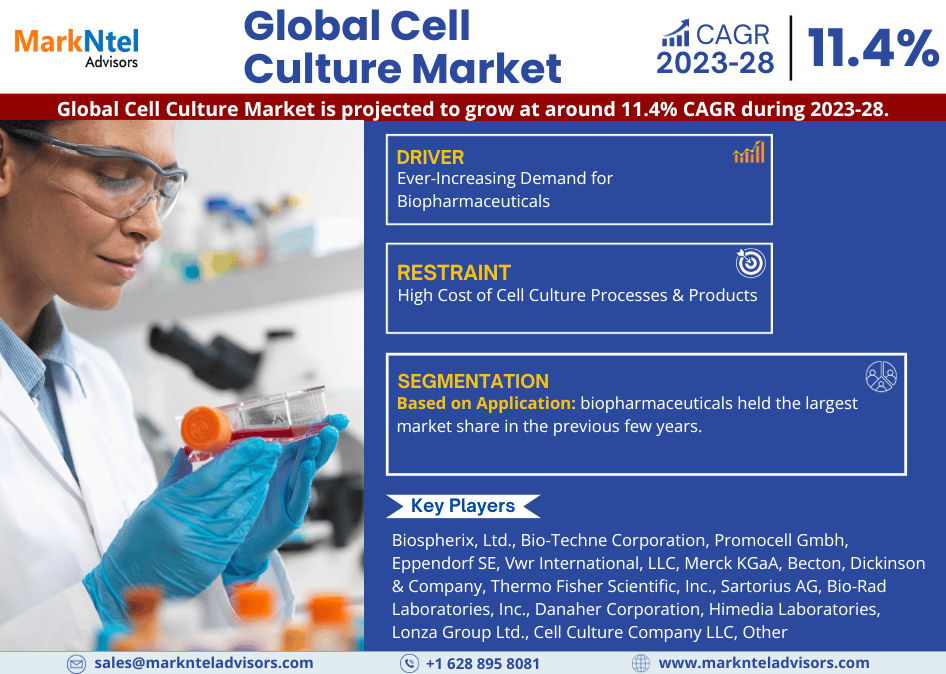 Cell Culture Market Comprehensive Analysis and Forecast 2023 to 2028