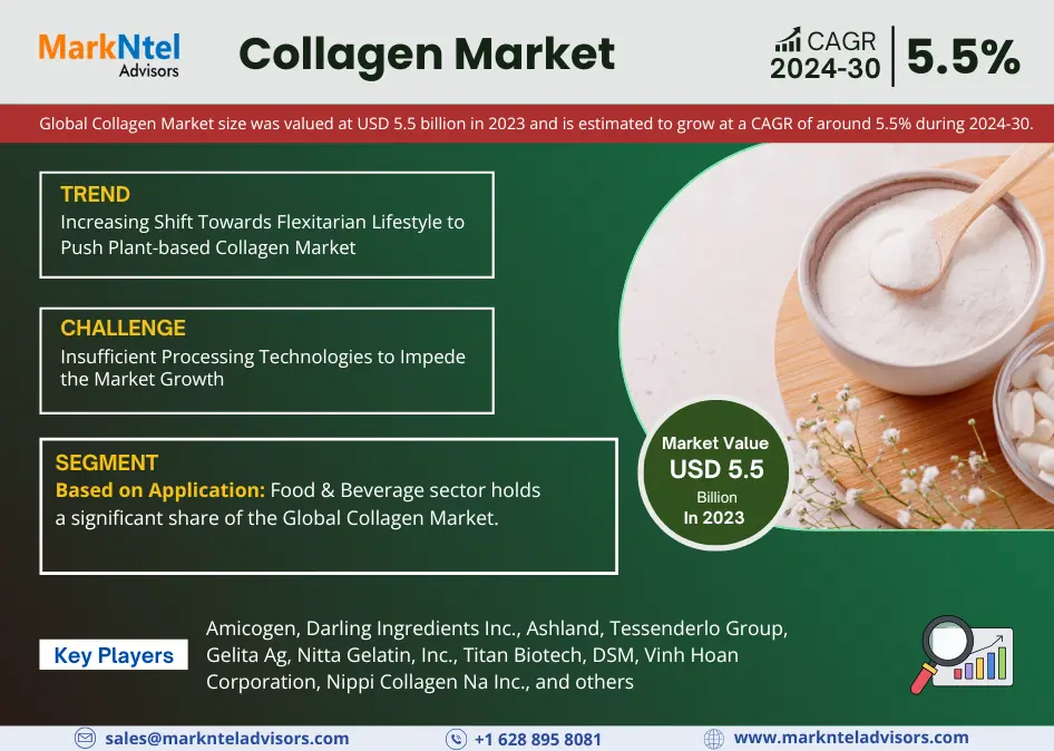 Collagen Market Dynamics – Driver, Challenge, Segment & Competition FY2030