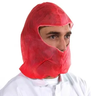 Disposable Balaclava