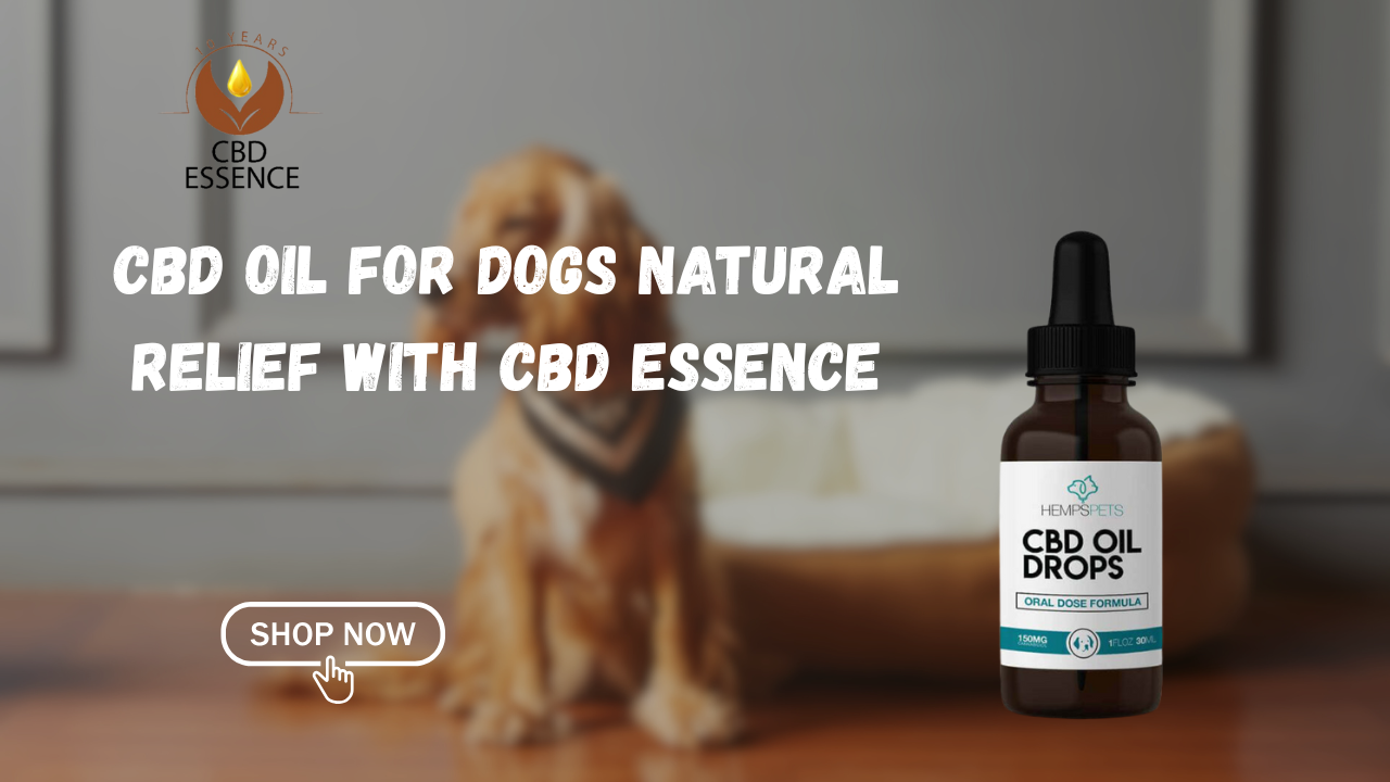 Natural Relief for Pets: Discover CBD Essence’s CBD Oil For Dogs