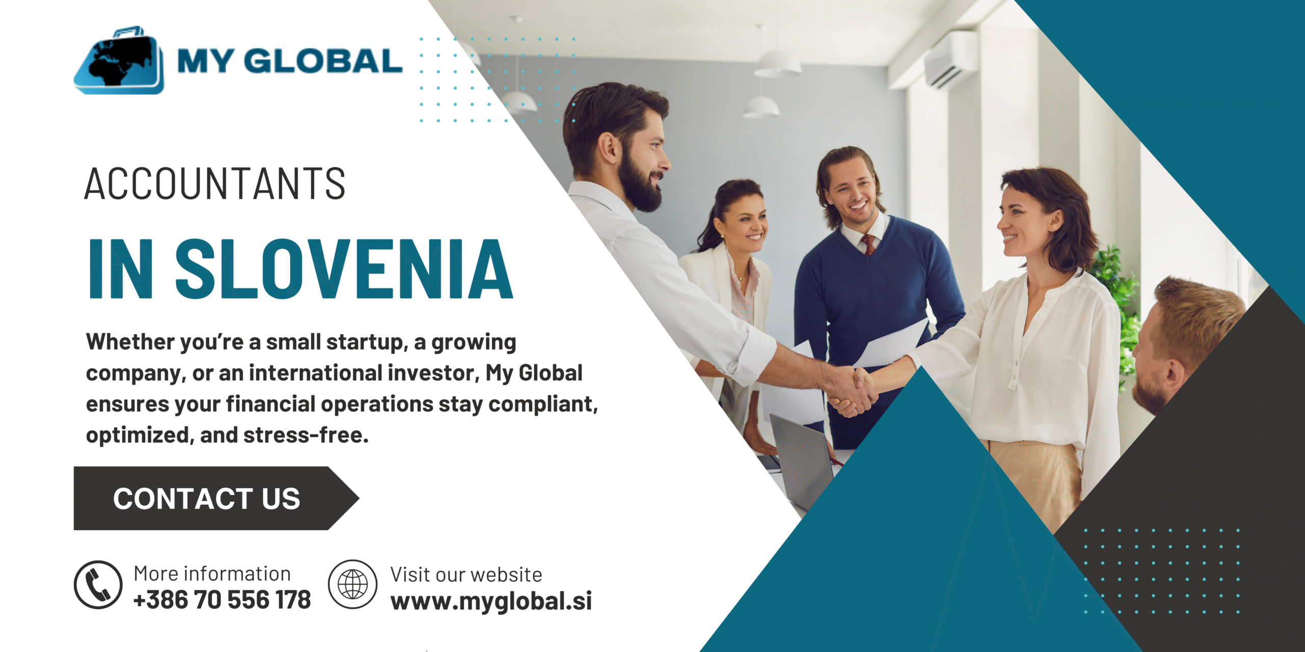 Accountants in Slovenia