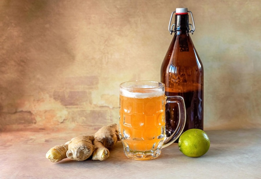 Ginger Beer Manufacturing Plant