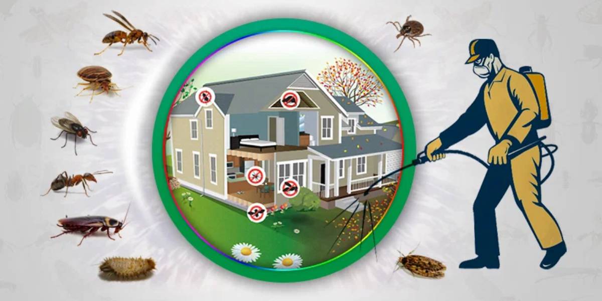 Pest Control Services in Saudi Arabia