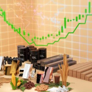Mastering the Key Indicators That Drive Commodity Price Action