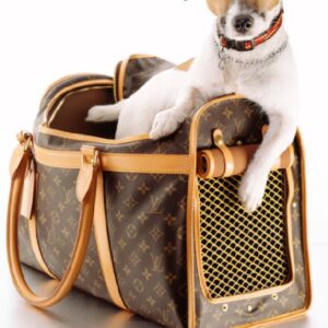 car carrier for dogs