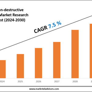 Asia-Pacific Non-destructive Testing (NDT) Market