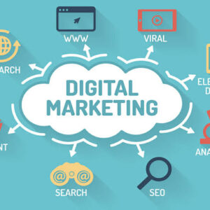Digital Marketing Strategy Consultant