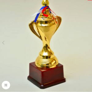 Sports Trophies online