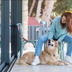 dog day care center
