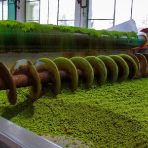 Tea Processing Plant