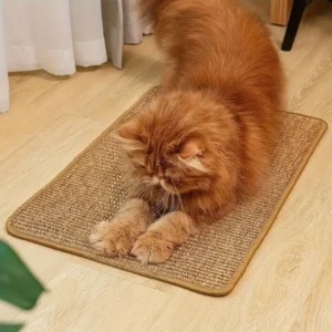 cat scratching mat
