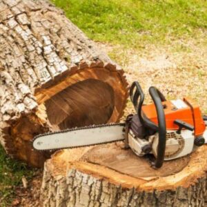 tree care services