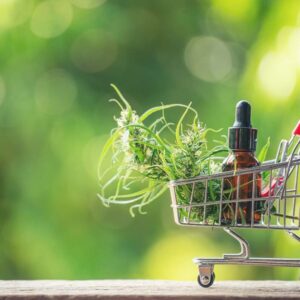 CBD online store in Pinellas Park