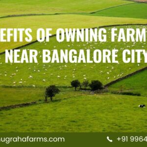 Farmland Near Bangalore