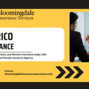 Valrico Insurance