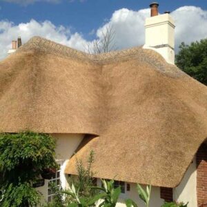 Somerset thatching