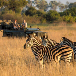 Tanzania Luxury Safaris