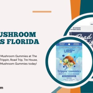 Best Mushroom Gummies