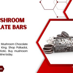 Buy Mushroom Chocolate Bars Online