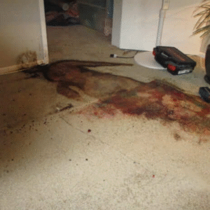 Decomposition Cleanup ASAP Restoration