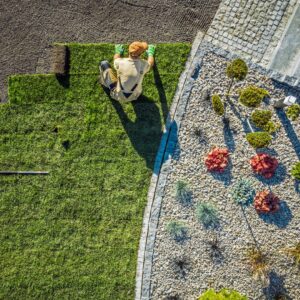 Landscape design services