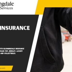 Luxury Handbag Insurance