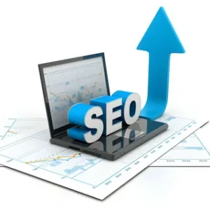 SEO services in Buffalo
