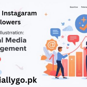 https://sociallygo.pk/buy-instagram-followers-pakistan/