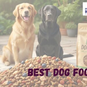 best dog food