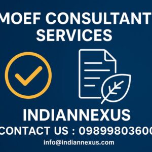 MOEF Consultant Services