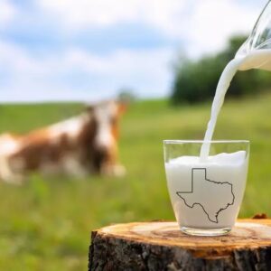 attachment-Holiday-Shopping-Scams-1