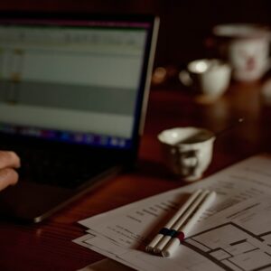 When Do You Need a Web Expert Witness in Internet-Related Disputes?
