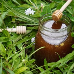 organic white honey in dubai