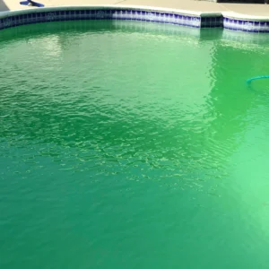 Cloudy Water 5 Quick Solutions To Keep Your Above-Ground Pool Clean and Healthy