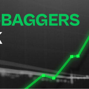 Top multibagger stocks in India