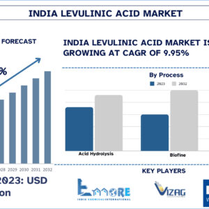 India Levulinic Acid Market