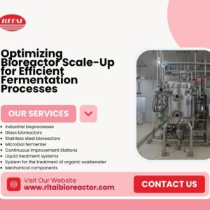 Bioreactor Scale Up