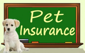 Pet Insurance near me
