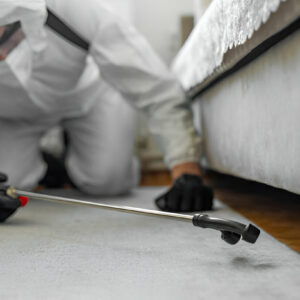 pest control eco friendly