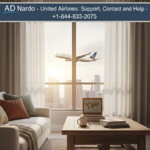 United Airlines: Support, Contact and Help